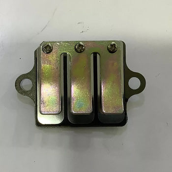 SUZUKI AX100, FLAPE AX 100 REEDVALVE