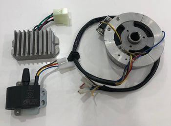 SET DE ENCENDIDO ELECTRONICO DE MZ ETZ 250/251/301 (AFTERMARKET/BOBINA ORIGINAL)