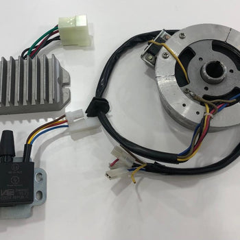 SET DE ENCENDIDO ELECTRONICO DE MZ ETZ 250/251/301 (AFTERMARKET/BOBINA ORIGINAL)